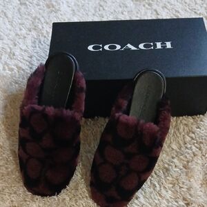 NWOT COACH SLIDES